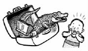alligatorsuitcase.jpg
